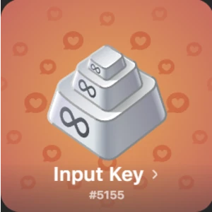 Input Key (Пример)